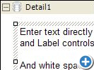 ActiveReports 报表控件 - 支持文本框、标签、选择框的直接输入