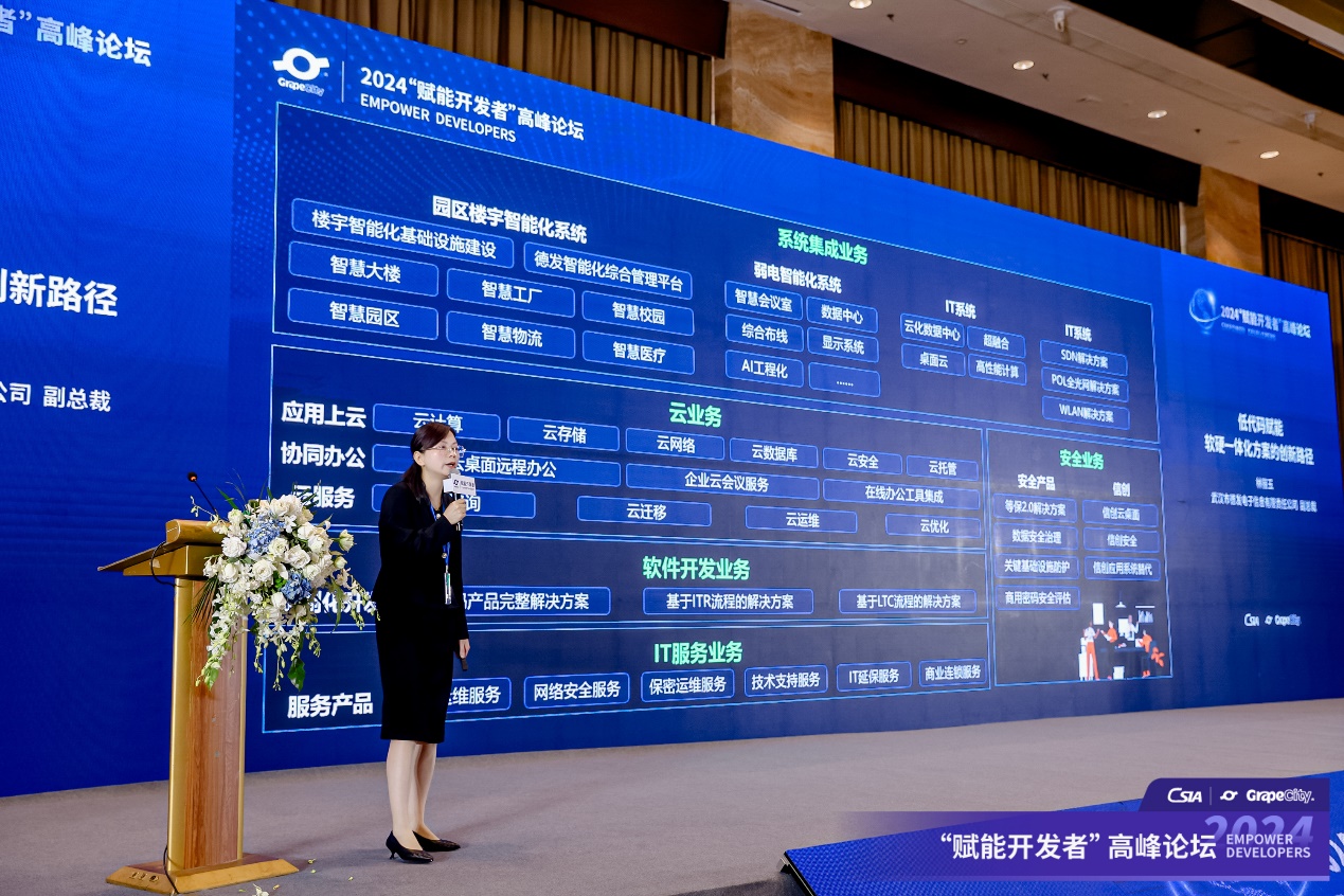 武汉市德发电子信息有限责任公司副总裁 林丽玉发表演讲